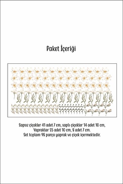 Sticker Ekspres Manolya Çiçekleri Ve Yapraklar Duvar Sticker Seti