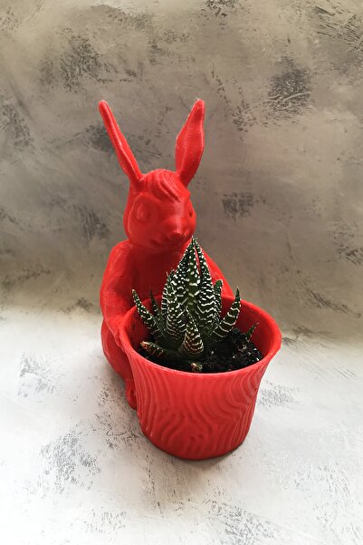 CESTOPİENO Tavşan Figürlü Biyoplastik Saksı