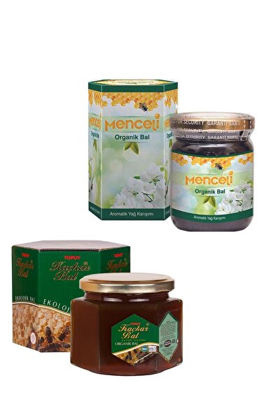 KAÇKAR Bal Organik Orman Balı 450 gr +menceli Organik Bal Aromatik Yağ Karışımı 250gr