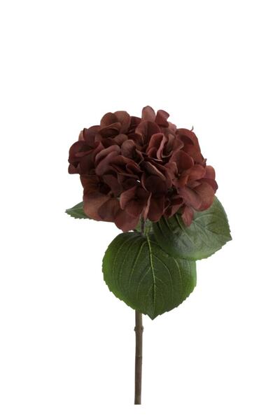 Laromita Decoration Bordo Ortanca Çiçek