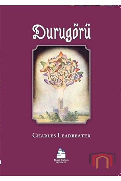 Mavi Kalem Yayınevi Durugörü