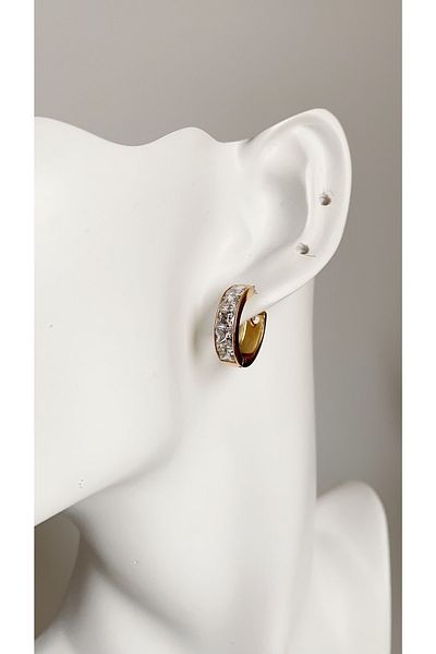 Âlâ Atelier Does Not Tarnish, Does Not Fade, Jewelry Model Thick Row Stone Hoop Earring Gold