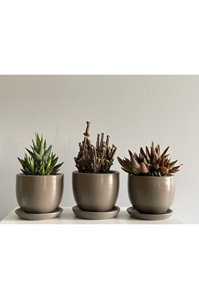odka 3'lü Mini Saksı Seti 10cmx12cm Vizon Renk