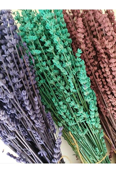 ÇİÇEK CENTER Şoklanmış Dökülmeye Dayanıklı Kokulu 3 Adet Lavanta Demeti 450 -...