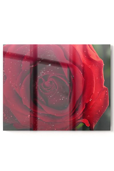 Olinpa Premium Kitchen Glass Stove Back Protector Countertop Built-In Back Protector 52X60Cm |   Flower Rose Red