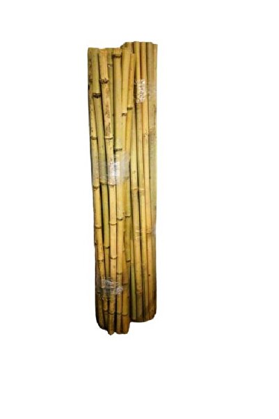 YEŞİLADA 10 Adet Orijinal Bambu Çubukları 1 Mt Boy 20-22 Mm Kalınlıkta Bitki ...