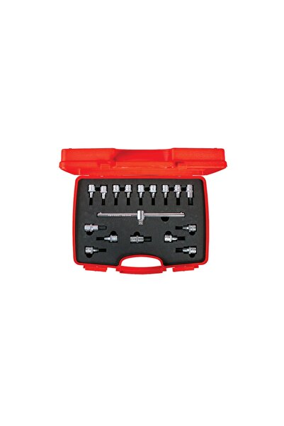 İzeltaş Set de biți Izeltaş Allen și Star Torx 1/2 inch 17 bucăți