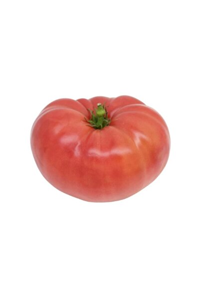 Tohum Dünyam Meşhur Ankara Ayaş Domates Tohumu 10 Adet Tohum Ayaş Domatesi To...