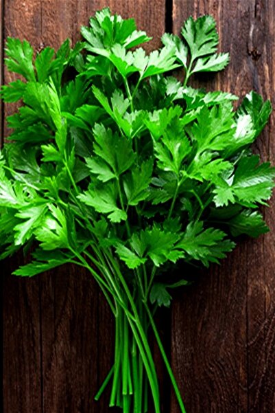 Tohum Dünyam Yediveren Maydanoz Tohumu 50 Adet Tohum