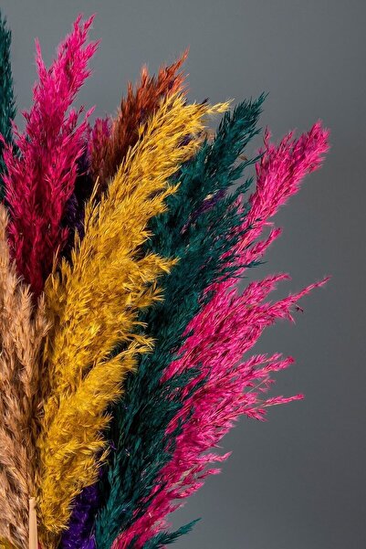 Genel Markalar Pampas Demeti 12 Adet Kurutulmuş Çiçek