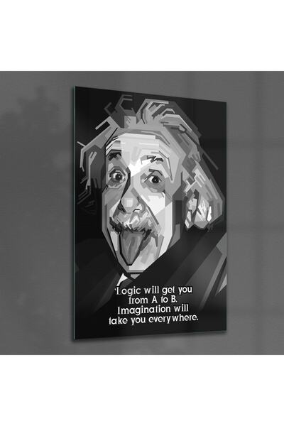 Decovetro Tablou din sticlă Albert Einstein Funny