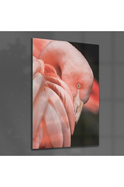 Decovetro Tablou din sticlă Flamingo