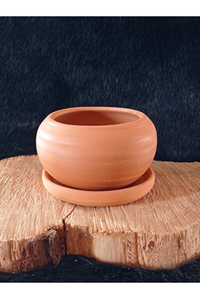 Comlekevi Toprak Saksı, Kaktüs Saksısı, Tabaklı