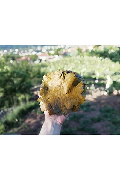 Silver's Naturals Tokat Salamura Bağ Yaprağı Ince Damarsız- 5kg X 2 Adet