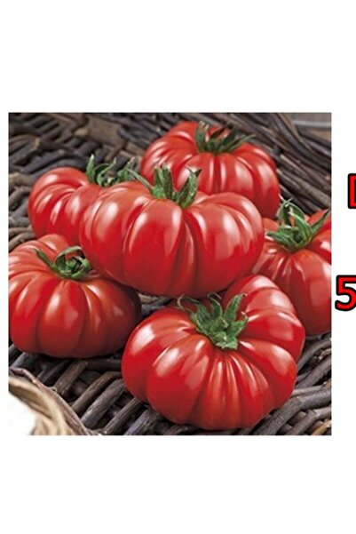 Tohum Dünyam 10 Adet Italyan Domates Tohumu