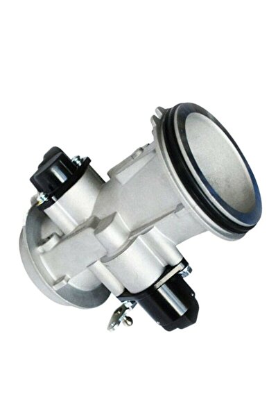 LEICHTENS Clio 2/kango 2/megane 1/logan Gaz Kelebeği Kutusu 8200682611 - 7700...