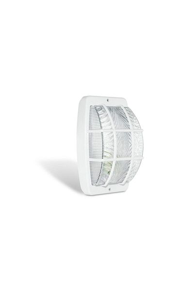 Borsan King Caged Wall Luminaire - Humidifier
