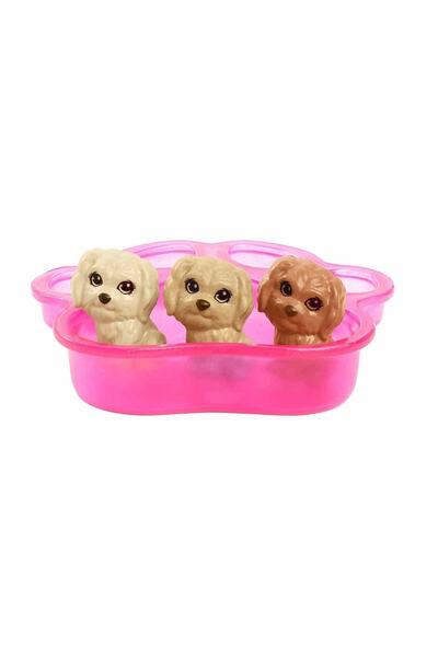 mattel Hck75 Barbıe Ve Yeni Doğan Köpekler Oyun Seti