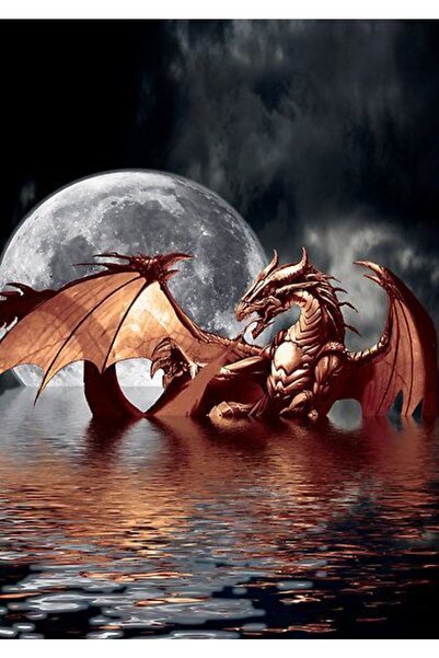 Genel Markalar Dolunay Ve Ejderha Çerçeveli 70x90 Sayılarla Boyama Hobi Seti