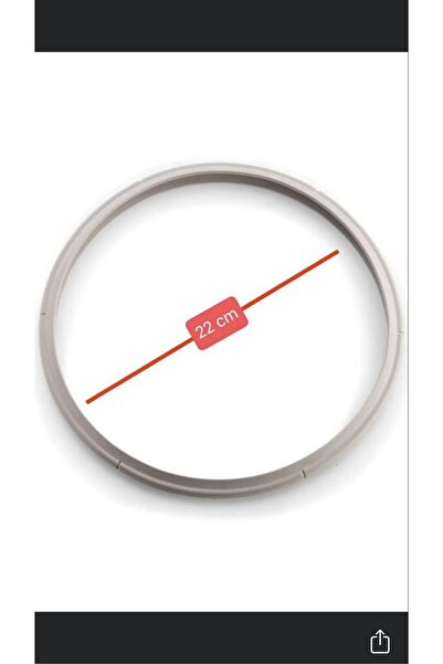 Fissler Eski Model Silikonlu Lastik 22 Cm