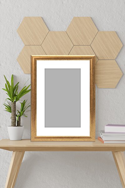 ÖZCANLAR ÇERÇEVE Resim Çerçevesi Avrupa Fonlu Derinlik Görünümlü Çerçeve Tekli Boş Çerçeve Altın Gold Renk