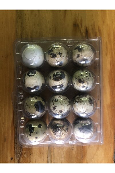 Gli Gatto Coffee Bıldırcın Yumurtası 12’li Kuluçka Makinesi Çıkımı Için