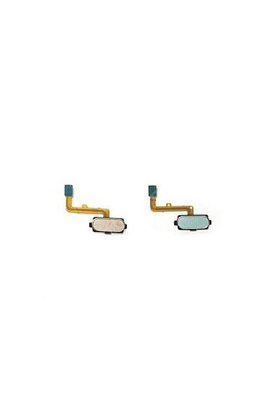 tekyerdenal Galaxy A810 Compatible Home Key Piping Film Flex Blue