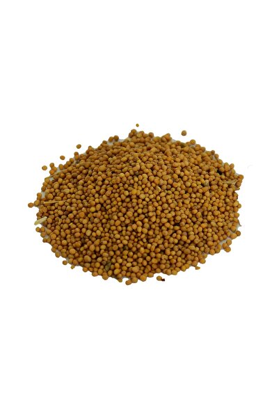 Mustard Seed Grain Natural Yellow 100 Gr Package