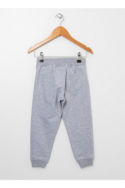 U.S. Polo Assn. 9-10 Years Gray Melange Pa