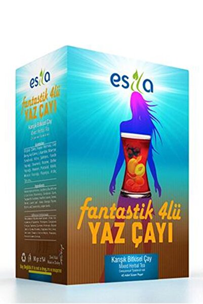 ESİLA Fantastik 4 Lü Yaz Çayı 20 Li.