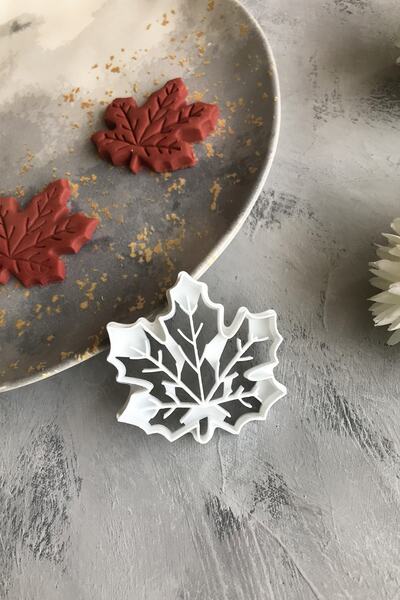 CESTOPİENO ورقة مسطحة العجين المشكل