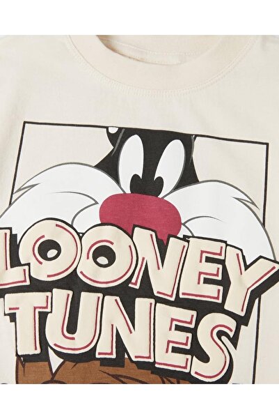 Pink Hippo Kids Unisex Sylvester And Tasmanian Devil Printed Shorts Set