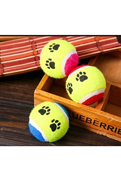 Generic Brand Pet Training Ball Set of 3