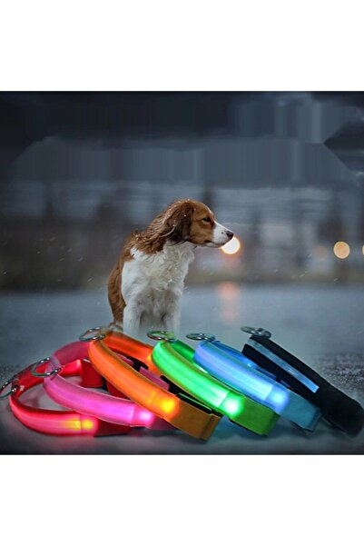 Demirhan Işıklı Boyun Tasması 3 Fonksiyonlu M Beden