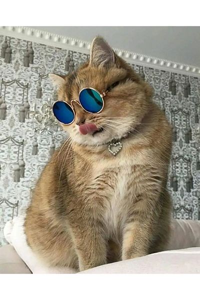 Lino Glasses for Cats 7 Cm
