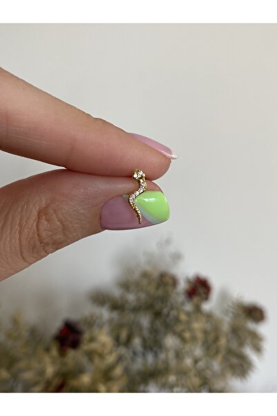 ACCESSORIES WORLD Zirkon Taşlı Yılan Model Gold Renk Cerrahi Çelik Tragus Pie...