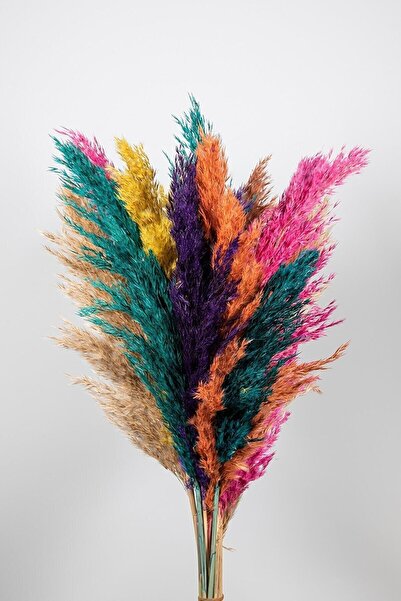 Genel Markalar Pampas Demeti 12 Adet Kurutulmuş Çiçek