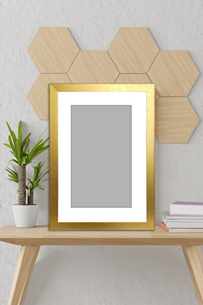 ÖZCANLAR ÇERÇEVE Resim Çerçevesi Avrupa Fonlu Derinlik Görünümlü Çerçeve Tekli Boş Çerçeve 13x18