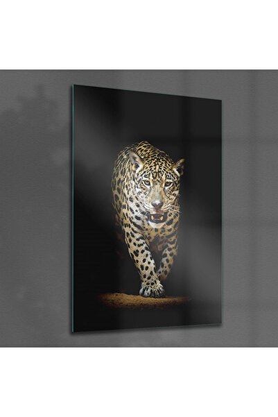 Decovetro Pictură pe sticlă Leopard în umbră