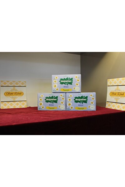 Sami Efendi Kuruyemiş طقم شاي ديزي دوجادان - 3 قطع