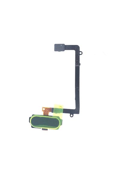 tekyerdenal Blue Film - Galaxy S6 G920 Home Key Board