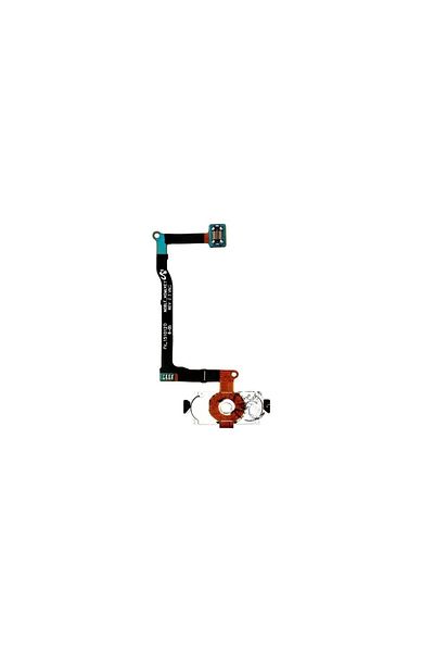 tekyerdenal Samsung Galaxy Note 5 N920 Home Key Bordu Film Silver