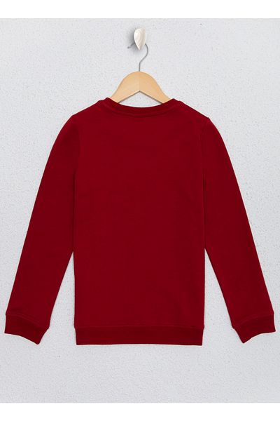 U.S. Polo Assn. Crew Neck Regular Fit Plain Red Boy's Sweatshirt