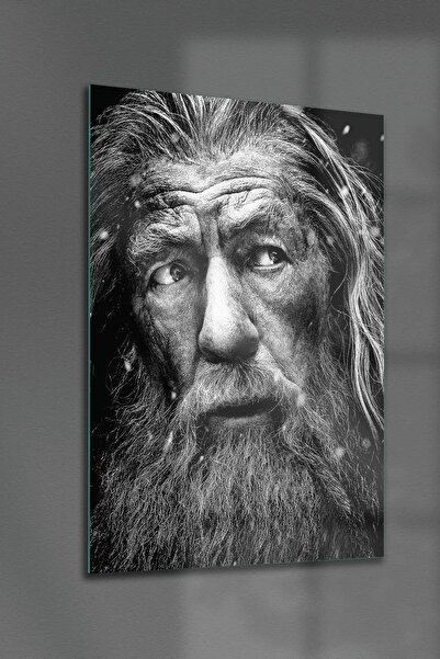 Decovetro Tablou din sticlă Negru Alb Gandalf