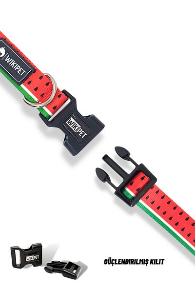 Wikipet Sandia Dog Collar