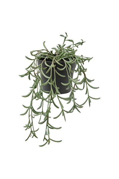 IKEA 0-10 FEJKA yapay bitki, yeşil, 9 cm, senecio radicans Saksı Yeşil