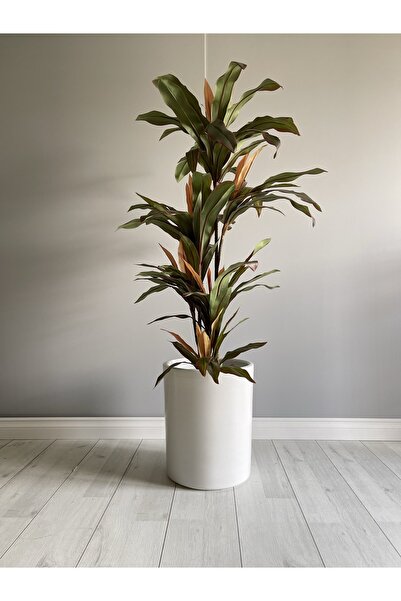 odka 20litre Silindir Saksı Tabaklı Yükseklik:30cm Çap:25cm Beyaz Renk