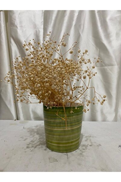 AFAM HEDİYELİK Dekoratif Sarı&yeşil Zara Desenli Seramik Bitki & Orkide Saksısı