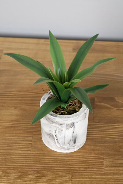 Yapay Çiçek Deposu نبات عصاري كبير الحجم في وعاء خرساني 30 سم