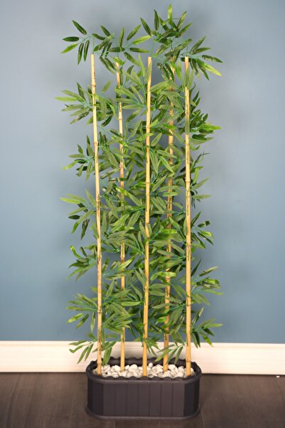 Yapay Çiçek Deposu Dekoratif Saksıda Islak Yapraklı 5 Çubuklu Bambu Seperatör (20x50x170cm)